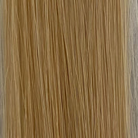 16Inch-Invisible Tape Weft-25g/Pcs